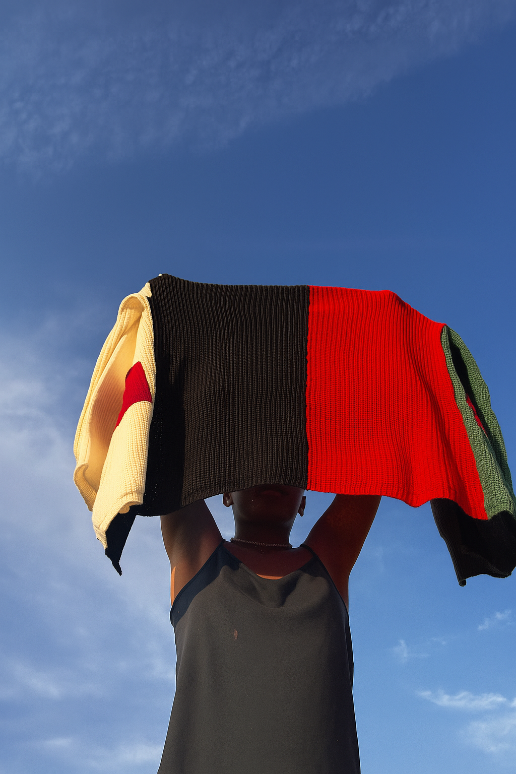 Ehimen Cardigan - Multi colour Knitwear