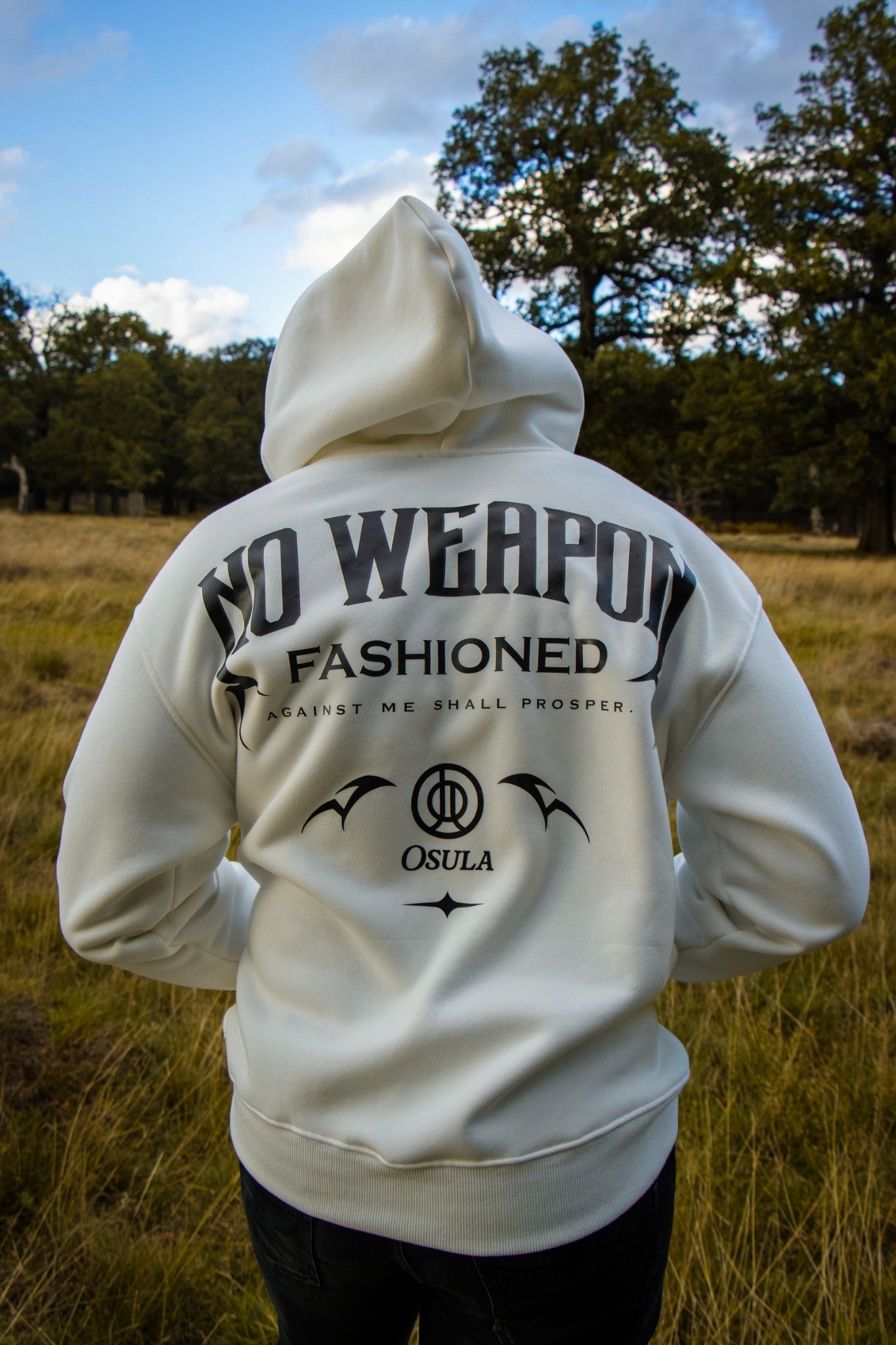 Heavyweight Premium Hoodie with Vinyl Print